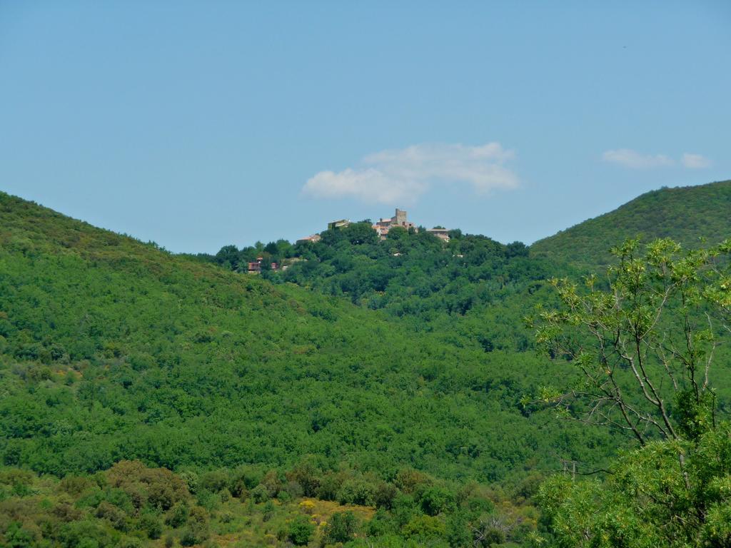 Chateau Olmet Lodève Esterno foto